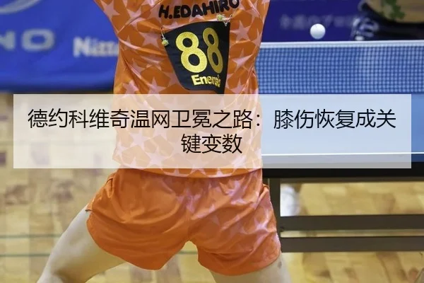 de-yue-ke-wei-qi-wen-wang-wei-mian-zhi-lu-xi-shang-hui-fu-cheng-guan-jian-bian-shu-2-722.jpg