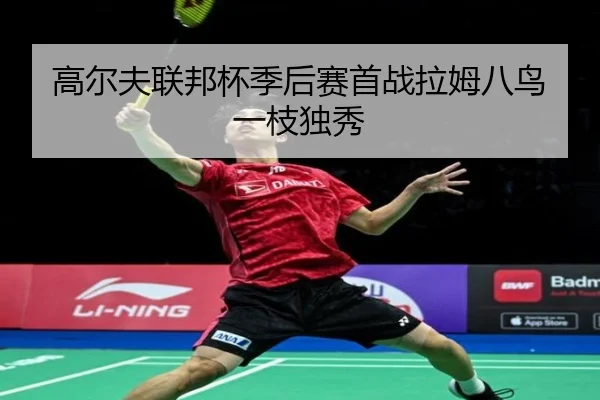 gao-er-fu-lian-bang-bei-ji-hou-sai-shou-zhan-la-mu-ba-niao-yi-zhi-du-xiu-2-668.jpg
