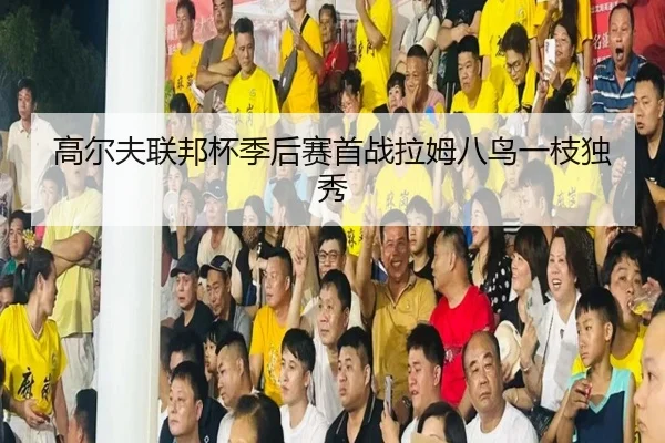 高尔夫联邦杯季后赛首战拉姆八鸟一枝独秀