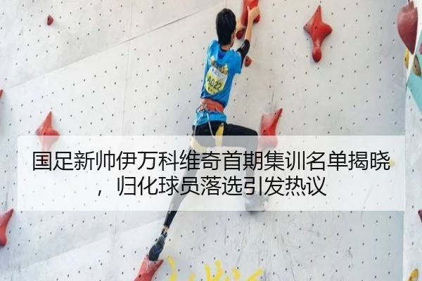 国足新帅伊万科维奇首期集训名单揭晓，归化球员落选引发热议